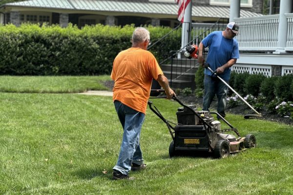 Lawn cutting and care in Havertown PA