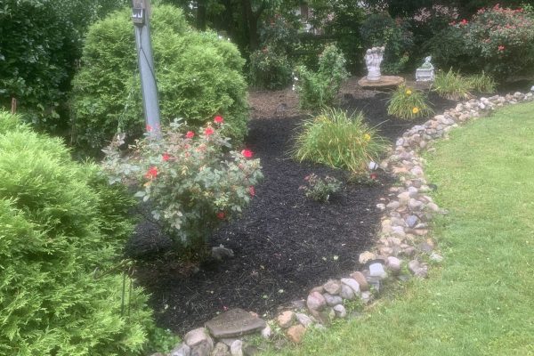 Landscaping and lawn cutting Company in Havertown PA