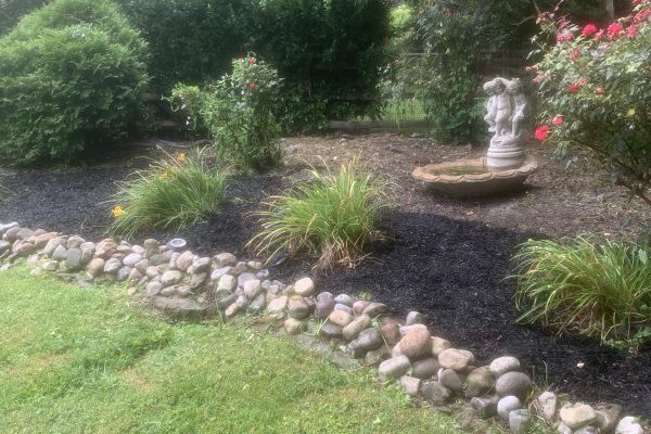 Landscaping and lawn cutting Company in Havertown PA