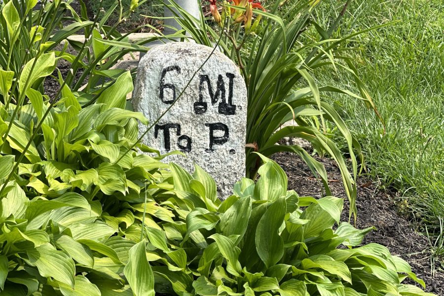 Commercial Landscaping Havertown pa
