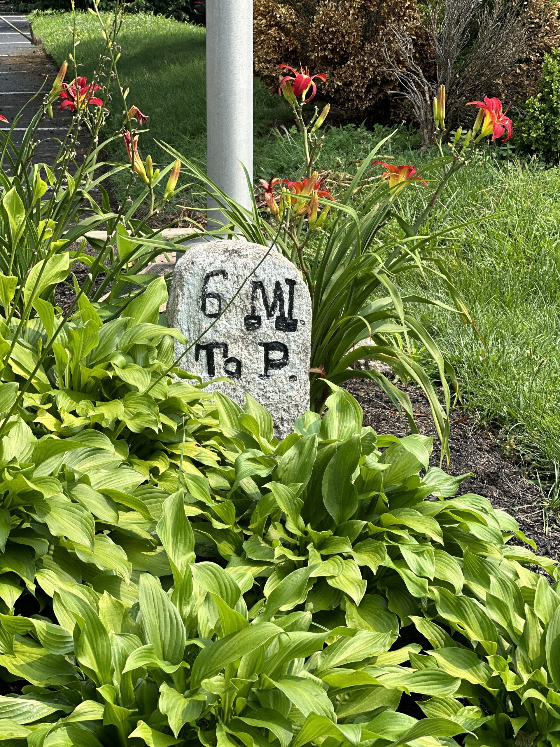 Commercial Landscaping Havertown pa