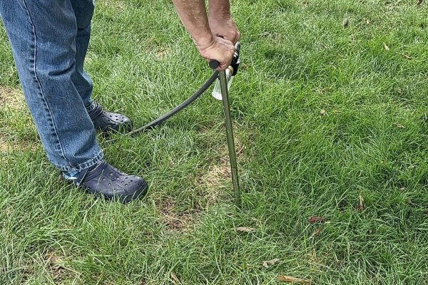 Deep Root Watering in Haverford PA