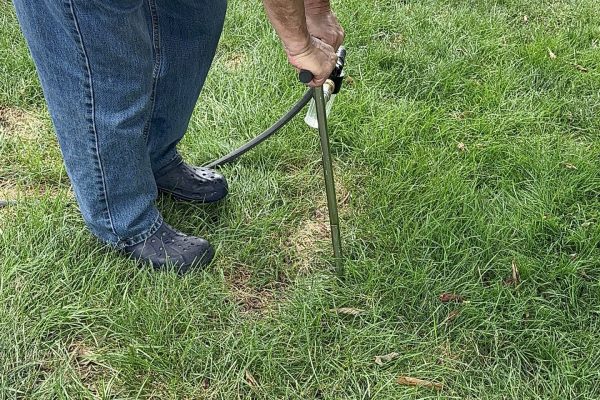 Deep Root Watering in Havertown PA