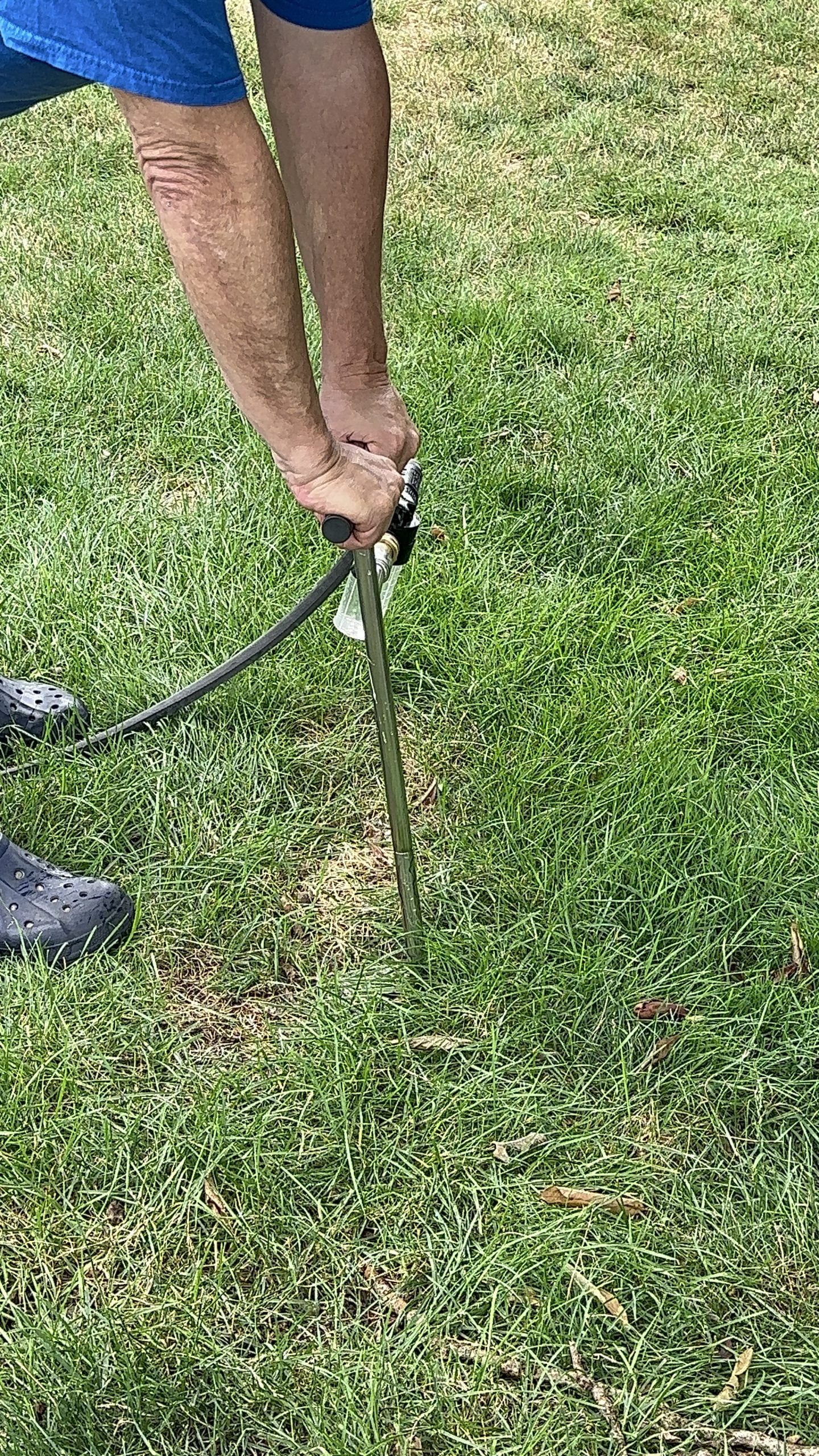 Revitalize Your Havertown PA Grounds with Al Pezza Company Deep Root Watering: The Ultimate Solution for Healthy, Thriving Trees and Plants