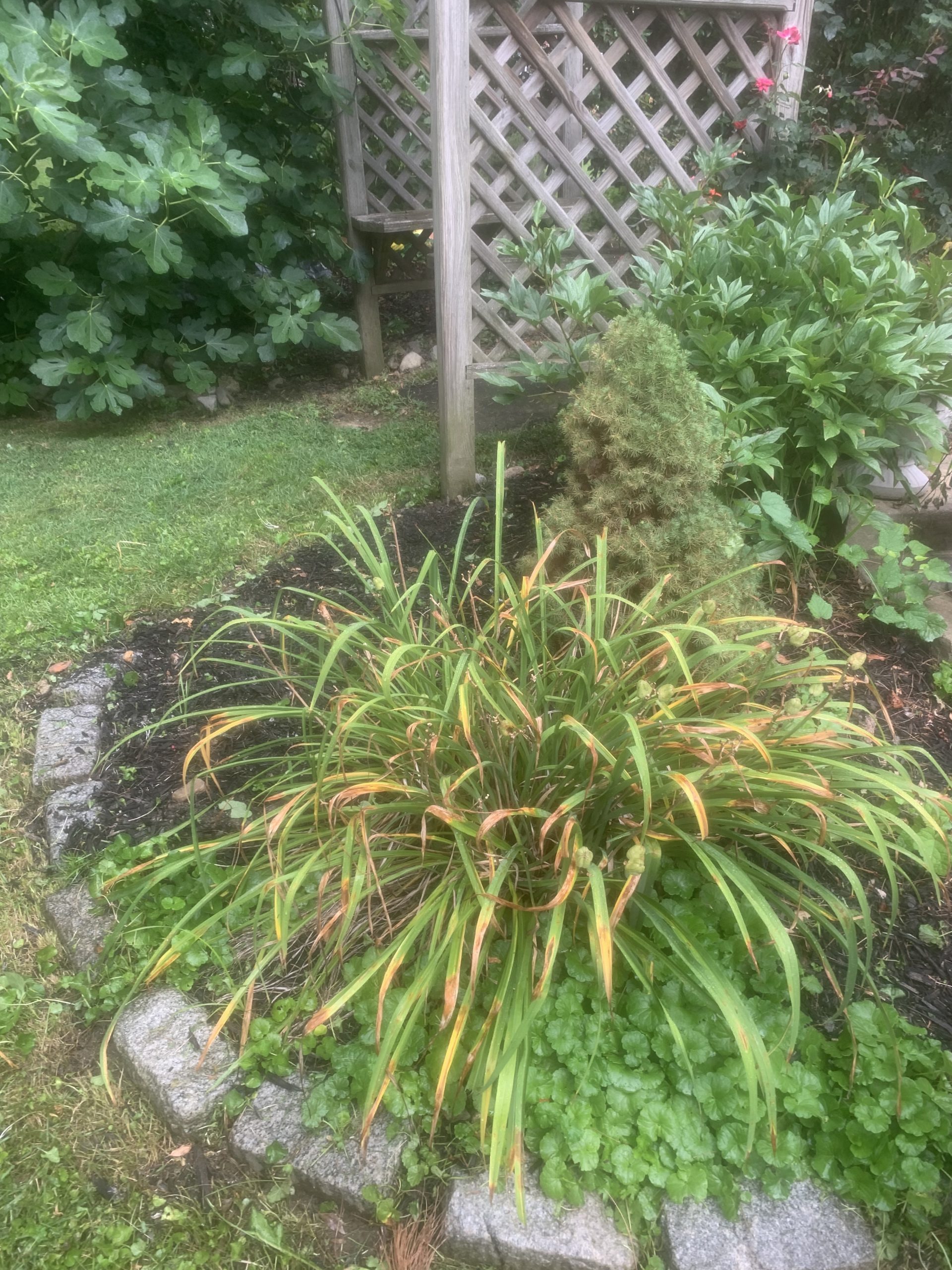 Transform Your Property with Expert Al Pezza Company Commercial Landscaping Havertown pa Solutions That Boost Curb Appeal and Business Success