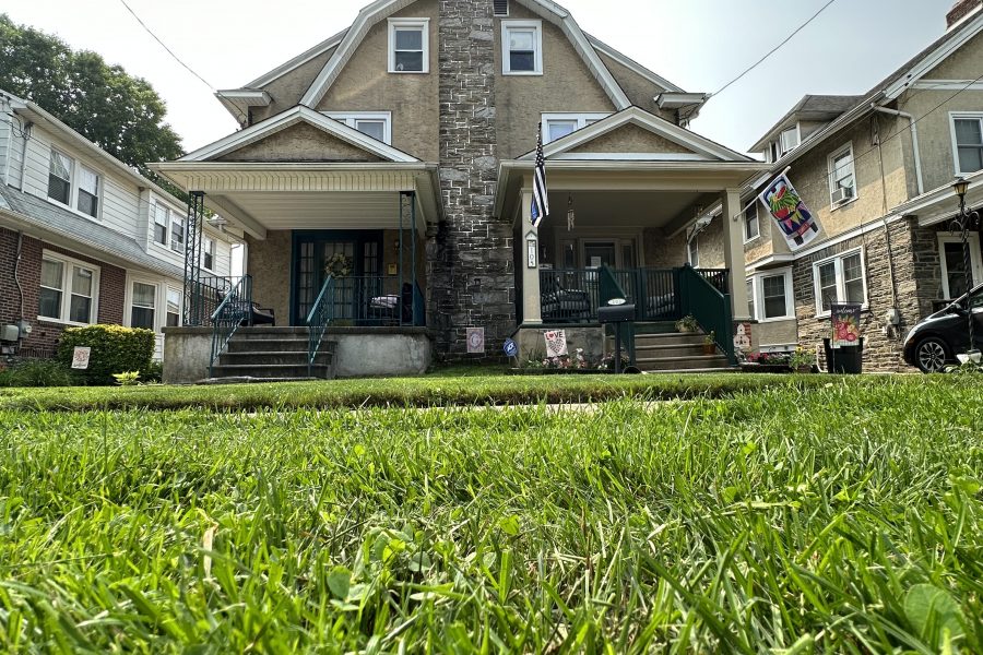 Discover How Al Pezza Company Commercial Landscaping Havertown PA Transforms Outdoor Spaces into Lasting Business Assets