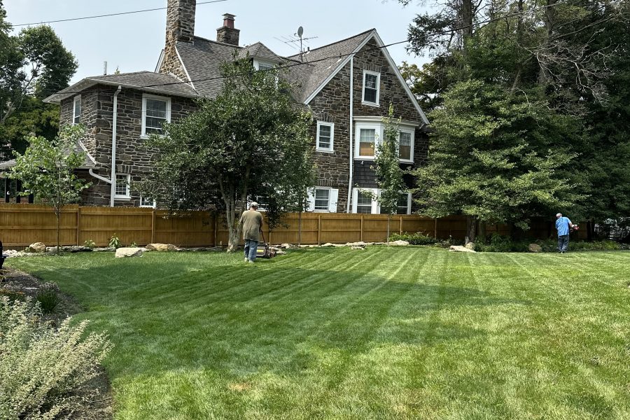 Maximize Your Property’s Impact with Al Pezza Company Havertown Commercial Landscaping Services That Deliver Lasting Value