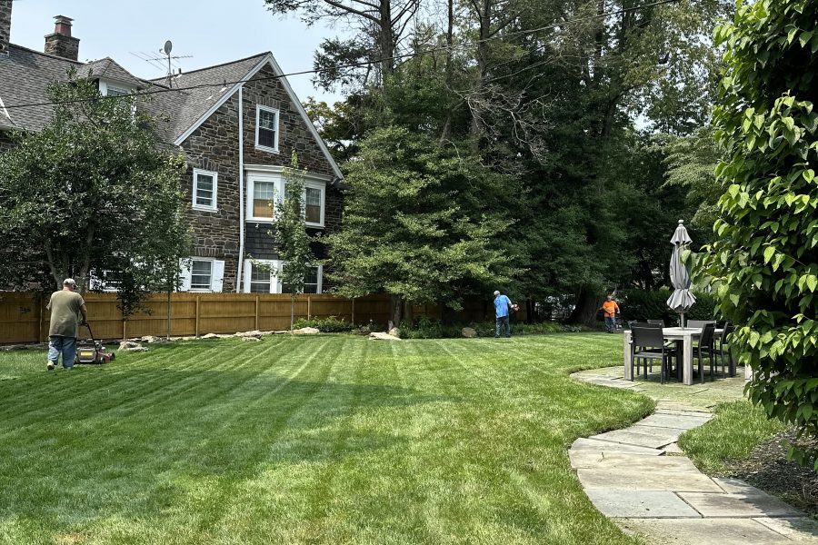 Unlock Exceptional Outdoor Spaces with Al Pezza Company Commercial Landscape Contractors Havertown PA: Your Strategic Advantage for Business Success